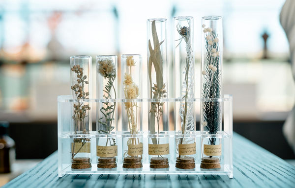 test tubes with freeze dried plants