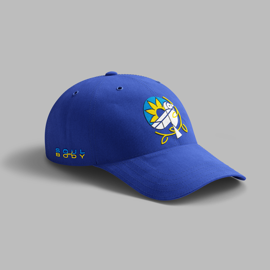 RUAPIA-Blue-Jay-Trucker-Hat, Snapback Hats Flat Bill Caps Dad Hat