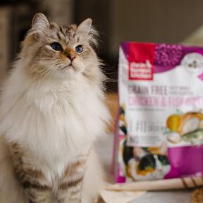 is cat and dog food edible for humans