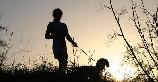 Safety Tips For Running with a Dog at Night