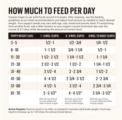 how much to feed per day