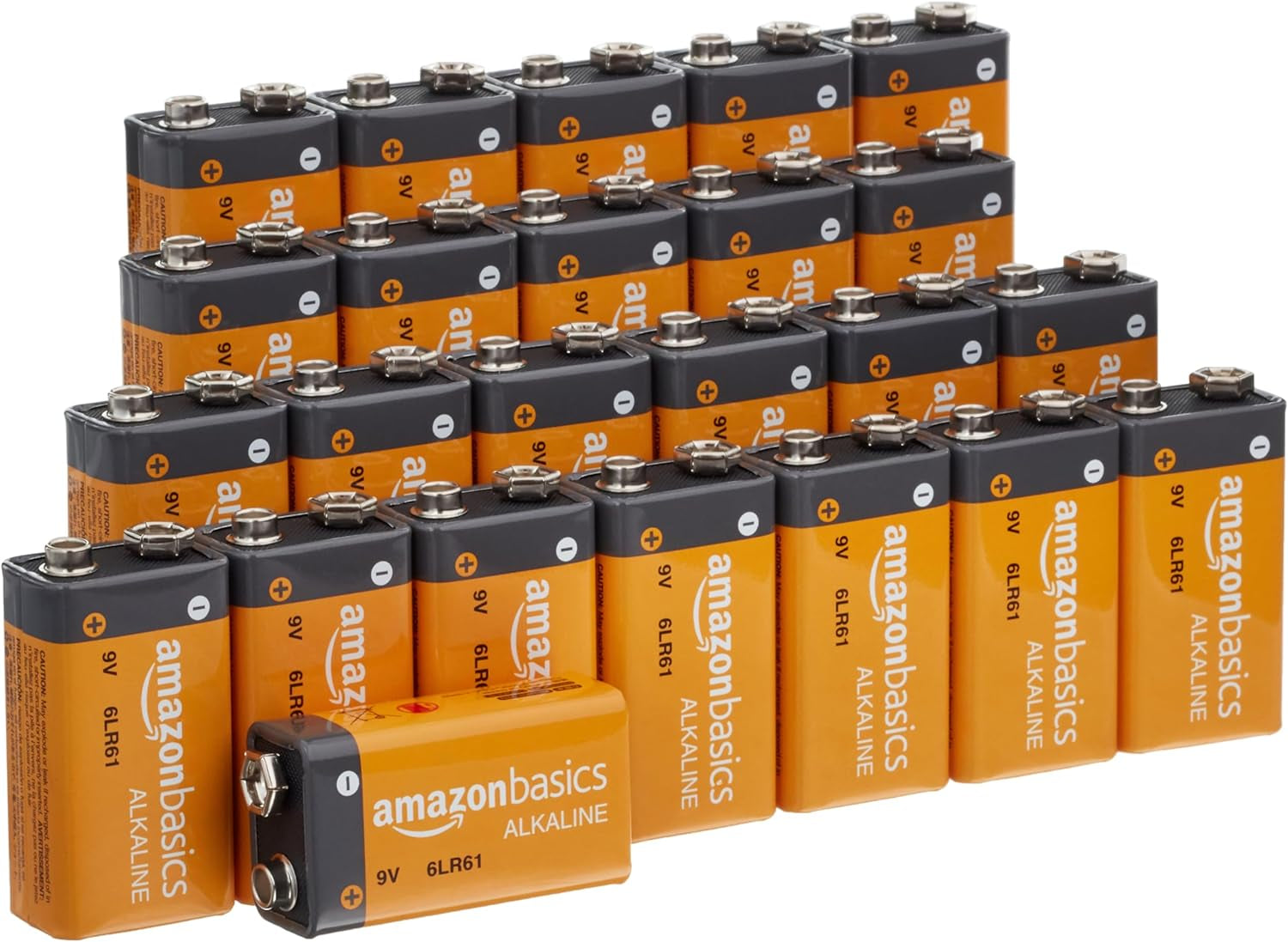 24-Pack 9 Volt Alkaline Performance All-Purpose Batteries, 5-Year Shelf Life, Packaging May Vary