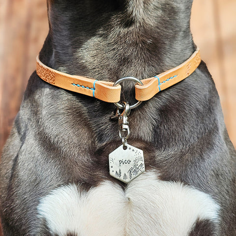 Markenhalsband aus Leder mit Punzierung Hundemarke