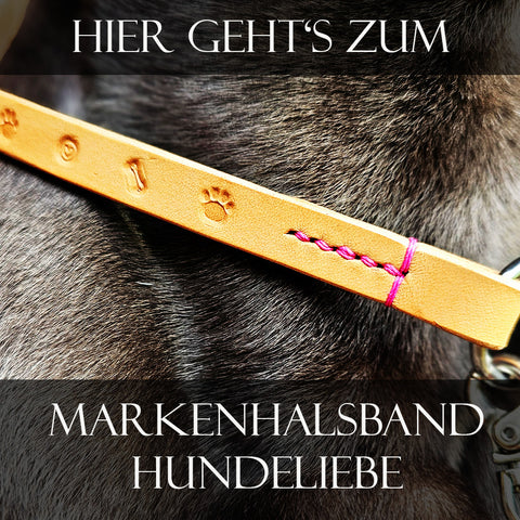 Hundehalsband aus Leder für Hundemarke