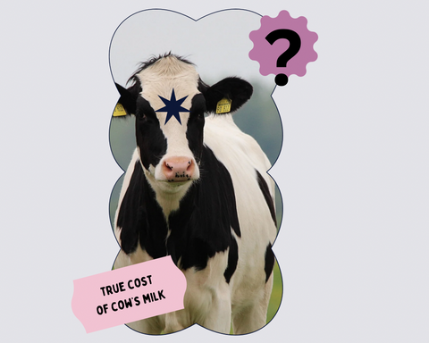 Collage of a cow and text about the truth behind cow’s milk