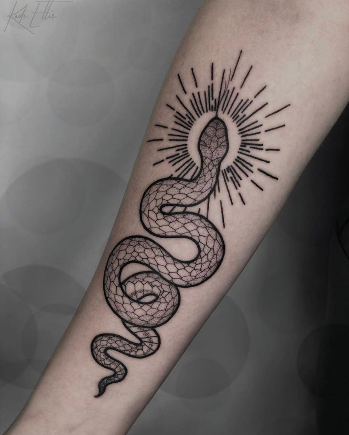 Simple line work snake for Abby from a while ago thank you Done  studioxiiigallery      Studio XIII Gallery