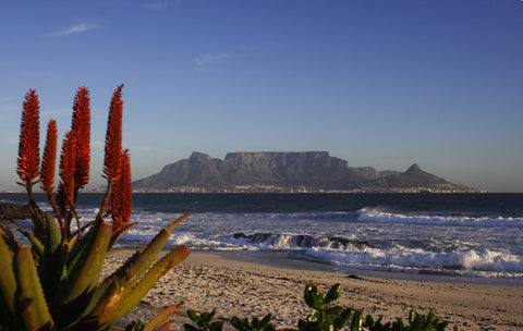 hydration-vests-table-mountain