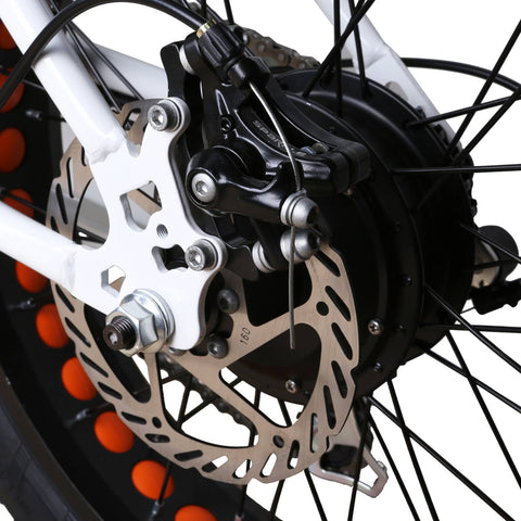 Dual Disc Brakes