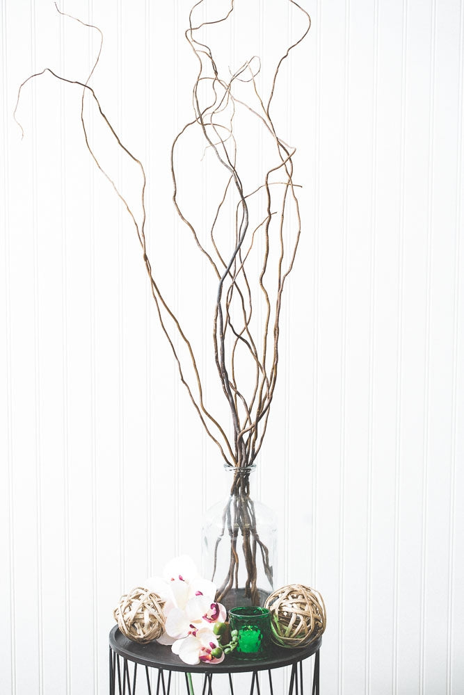 Aqumotic Artificial Pussy Willow Branches for Vases 1pc Tall Pussywillow in  Floor Vase Fake Twigs Espigas