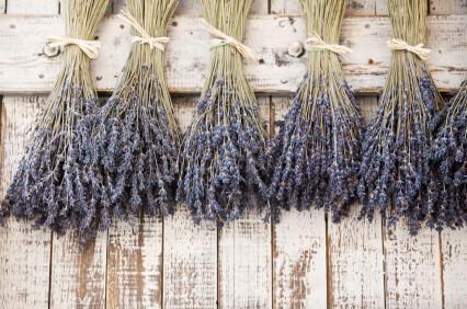 Lavender Flowers Air Dried Premium Blue Fragrant (90+ Stems)