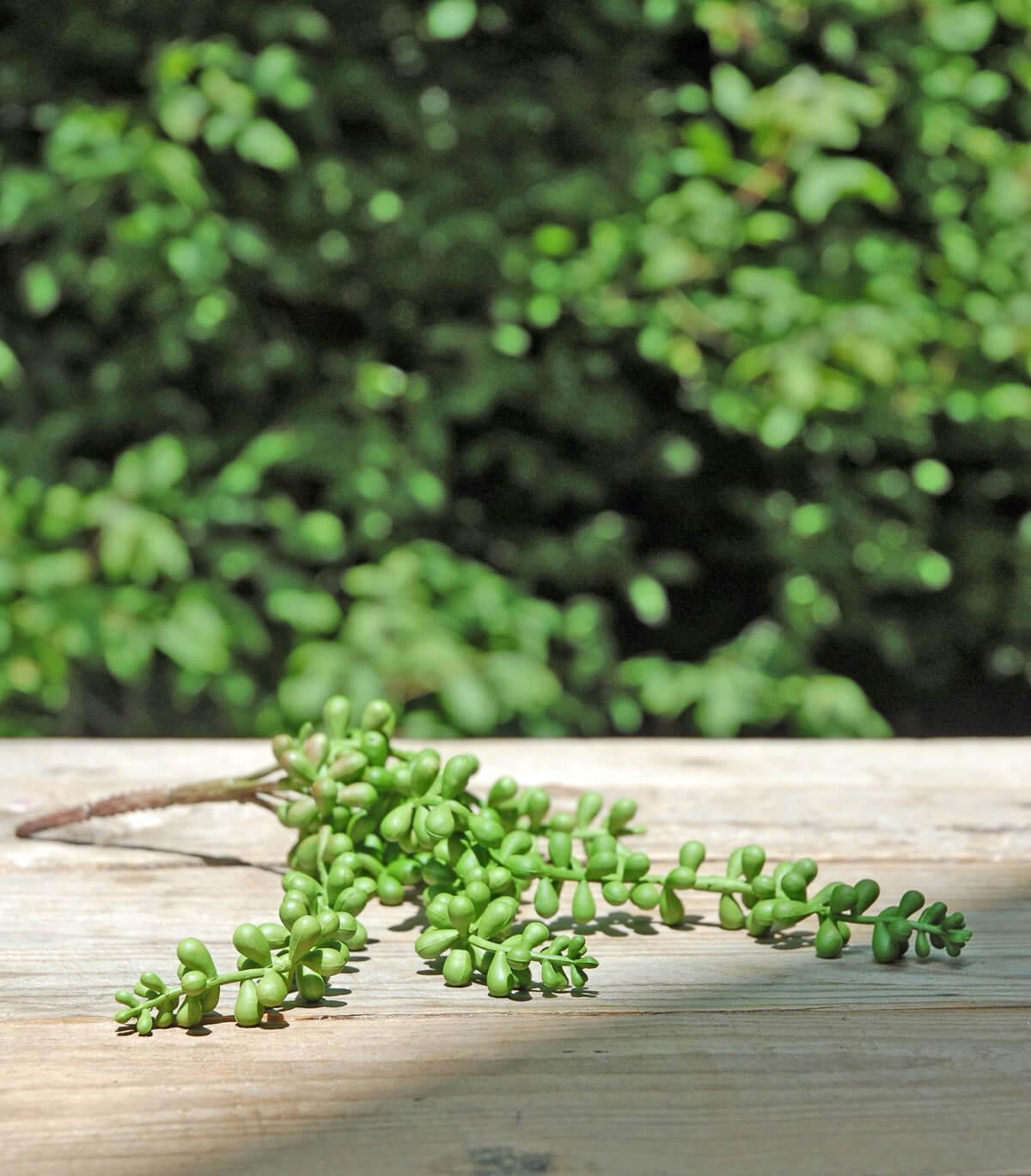 Asparagus Fern Garland Artificial 6ft