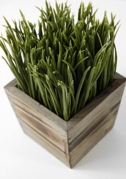 Faux Green Allium Grass Balls 2.5in (Set of 4)