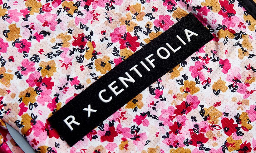 R. x Centifolia