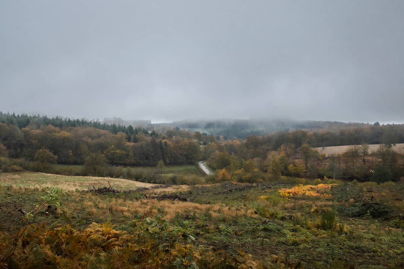 Sophie Gateau: Exploring the Morvan