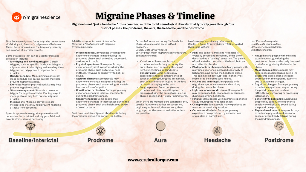 Migraine phases and timeline