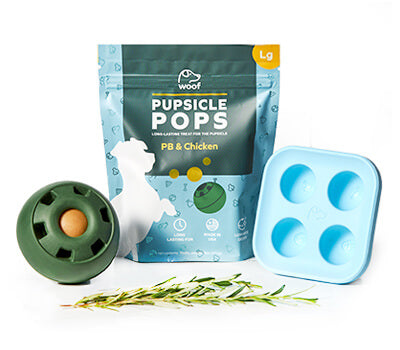 Woof Dog Products - The Amazing Pupsicle - V2