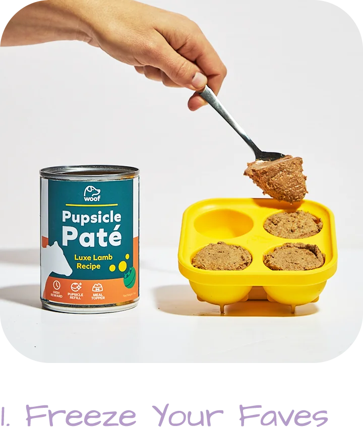 Woof Dog Products - The Amazing Pupsicle - V2