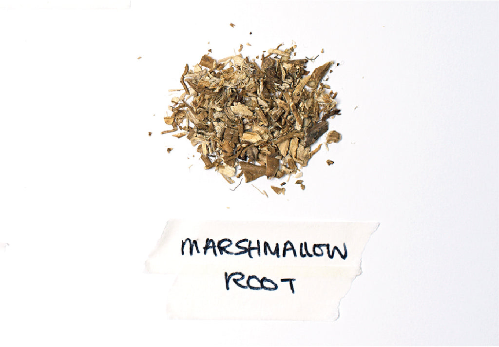 Marshmallow root