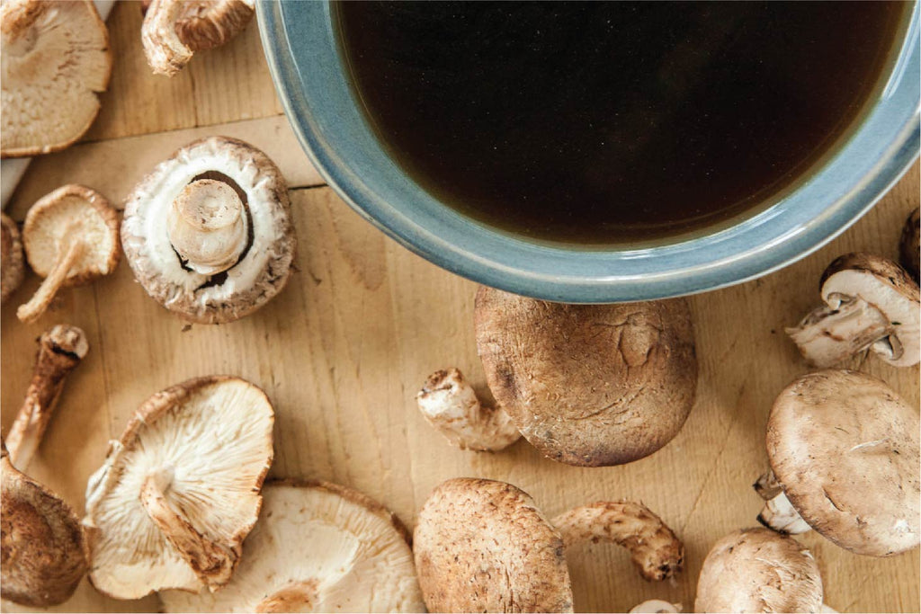  mushroom broth