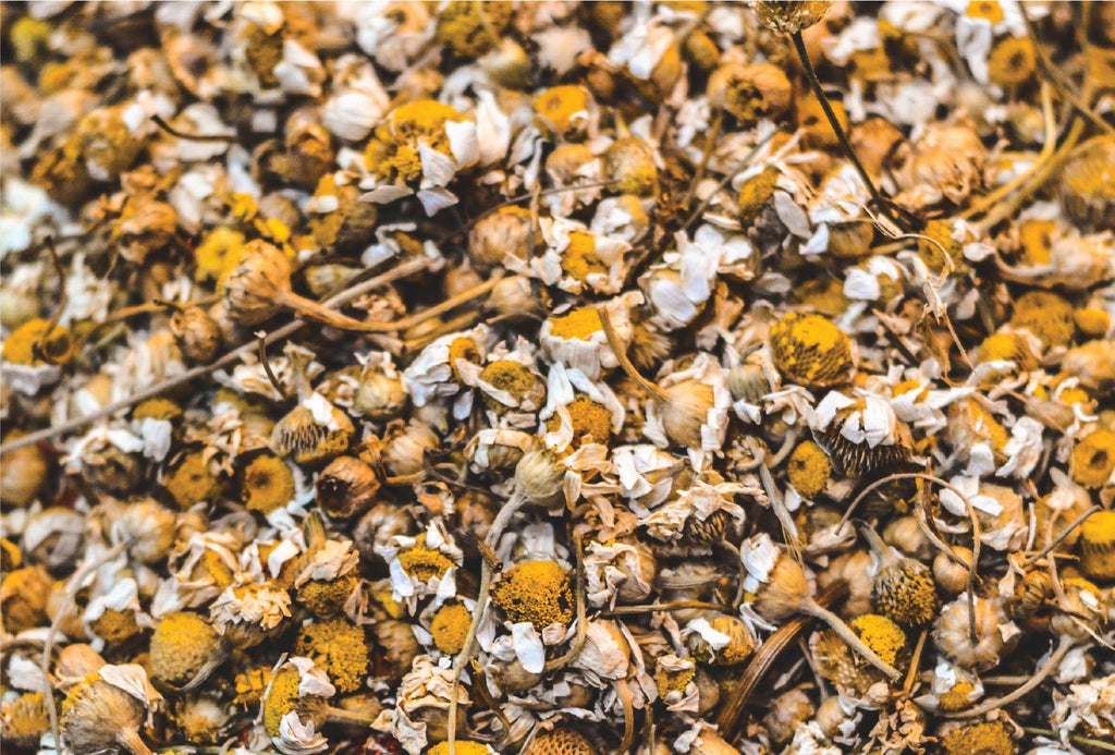 chamomile dried flowers