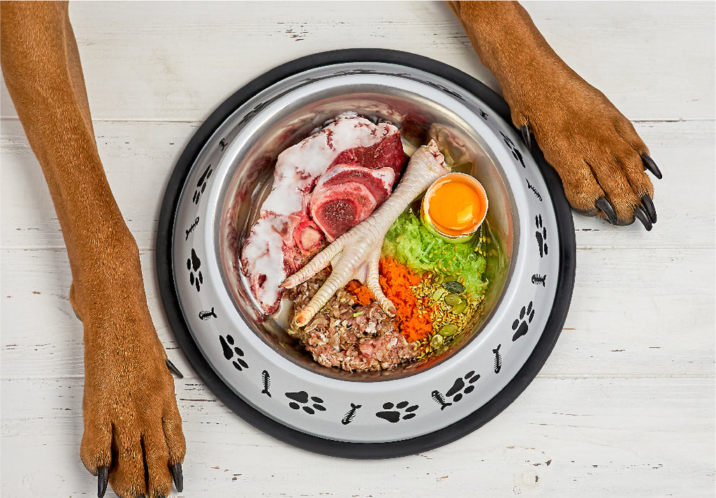 raw feeding dog bowl