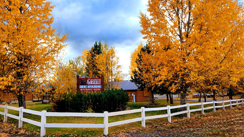 Yellowstone Grizzly RV Park and Cabins