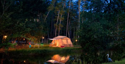 Walt Disney World's Fort Wilderness RV Resort and Campground