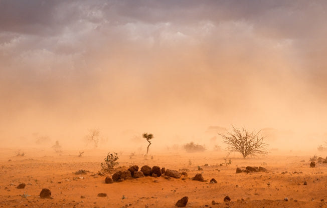 Alt: A dry and dusty African desert with several rocks and plants