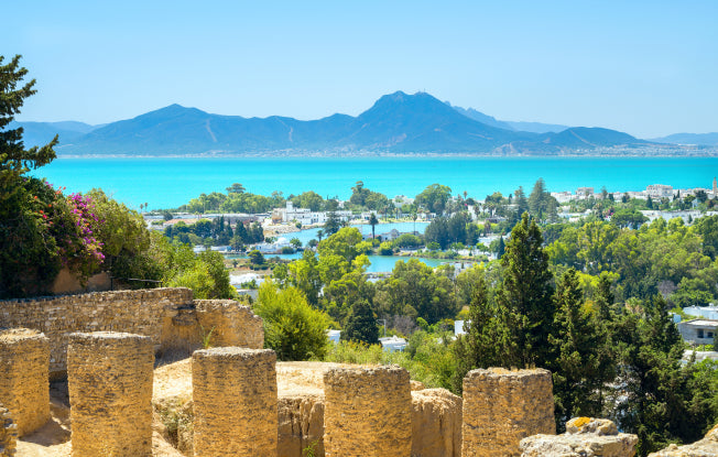 Alt: Historic ruins with bright blue sea and mountains in the background in Tunis, Tunisia