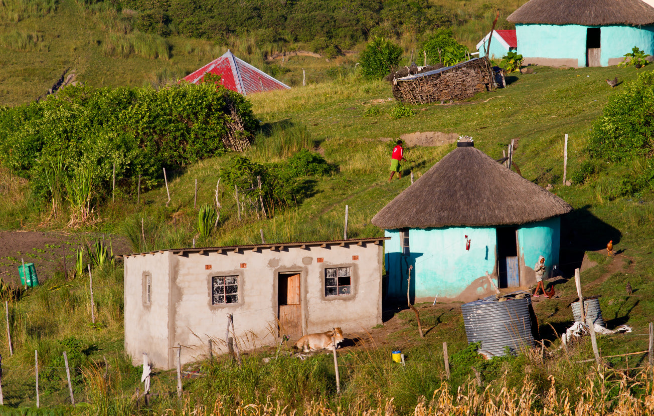 Alt: Rural home in Africa