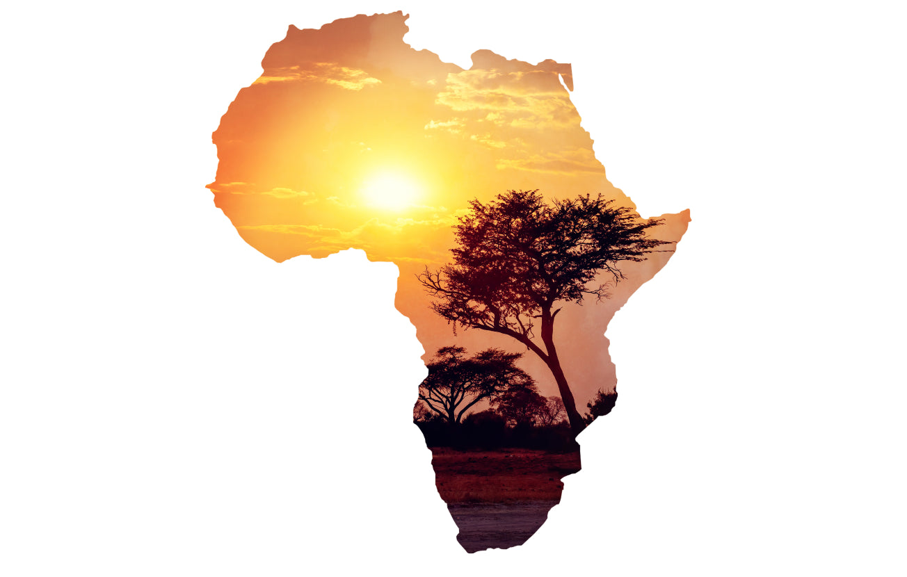 Alt: Sunny view in the shape of Africa