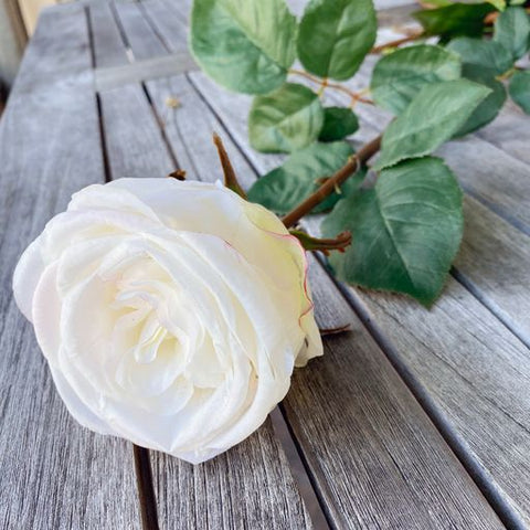 White rose stem laid on on table to be cleaned