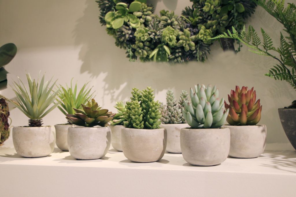 Mini faux succulents lined up on console table