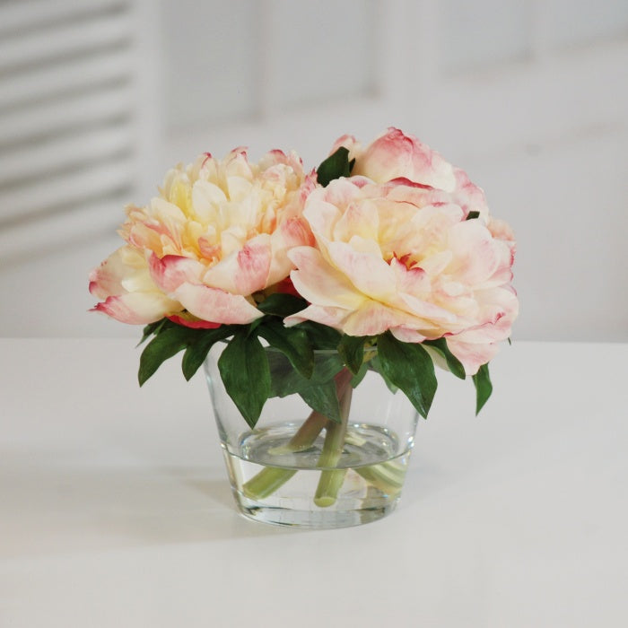 PEONIES IN GLASS 10" (WHI015-PC)