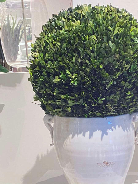 Artificial boxwood in planter