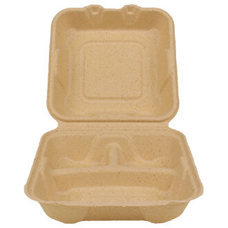 Compostable Biodegradable Take Out Food Containers with Clamshell Hing –  EcoQuality Store