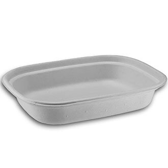 HeloGreen Eco-Friendly Sustainable Food Container 8x 8, 1-Comp.