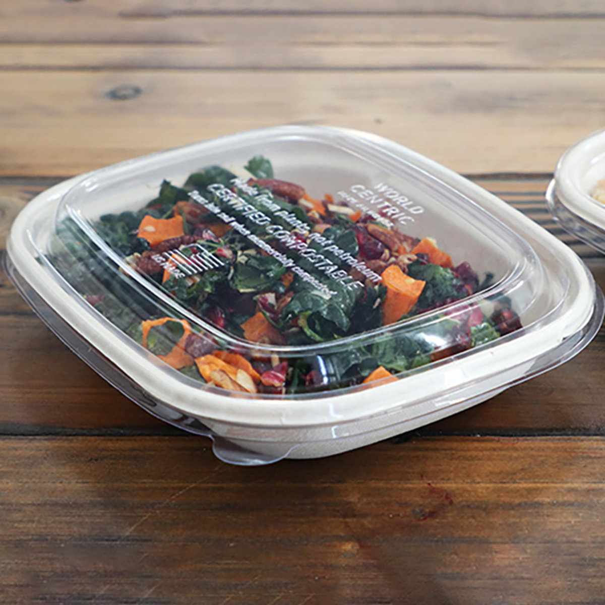 Compostable Food Container, Disposable Food Box 30's - Go-Compost  Disposable Box