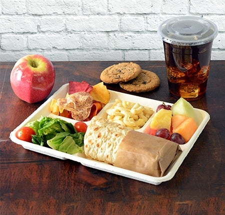 Fiber Lunch Tray (5 Compartment) 500 per case – Green Safe Products