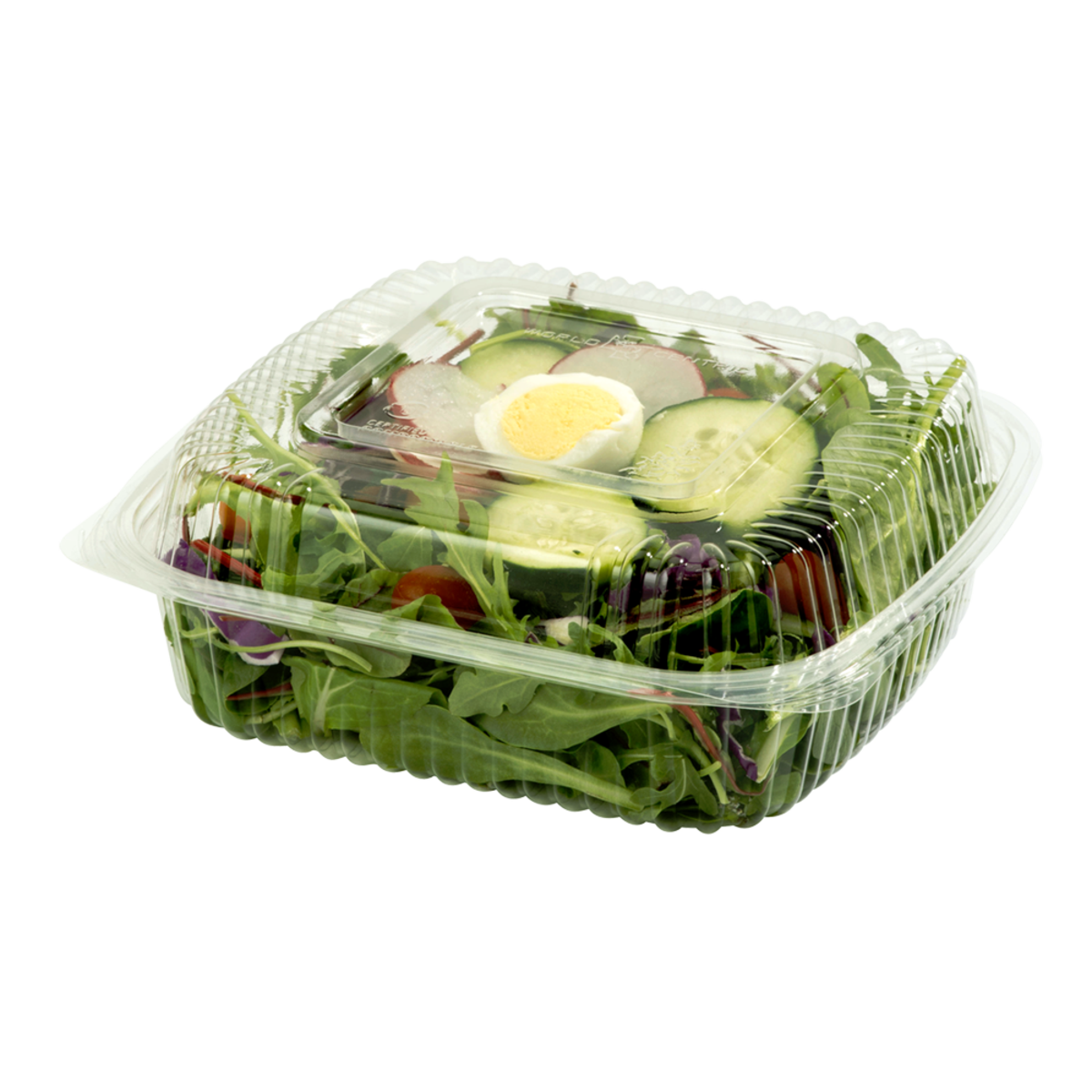 8 x 8 x 3 Clear Hinged Plastic Clamshell - Take out Containers