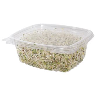 Reusable Takeout Container with 3-Compartments by Hubert® - Green