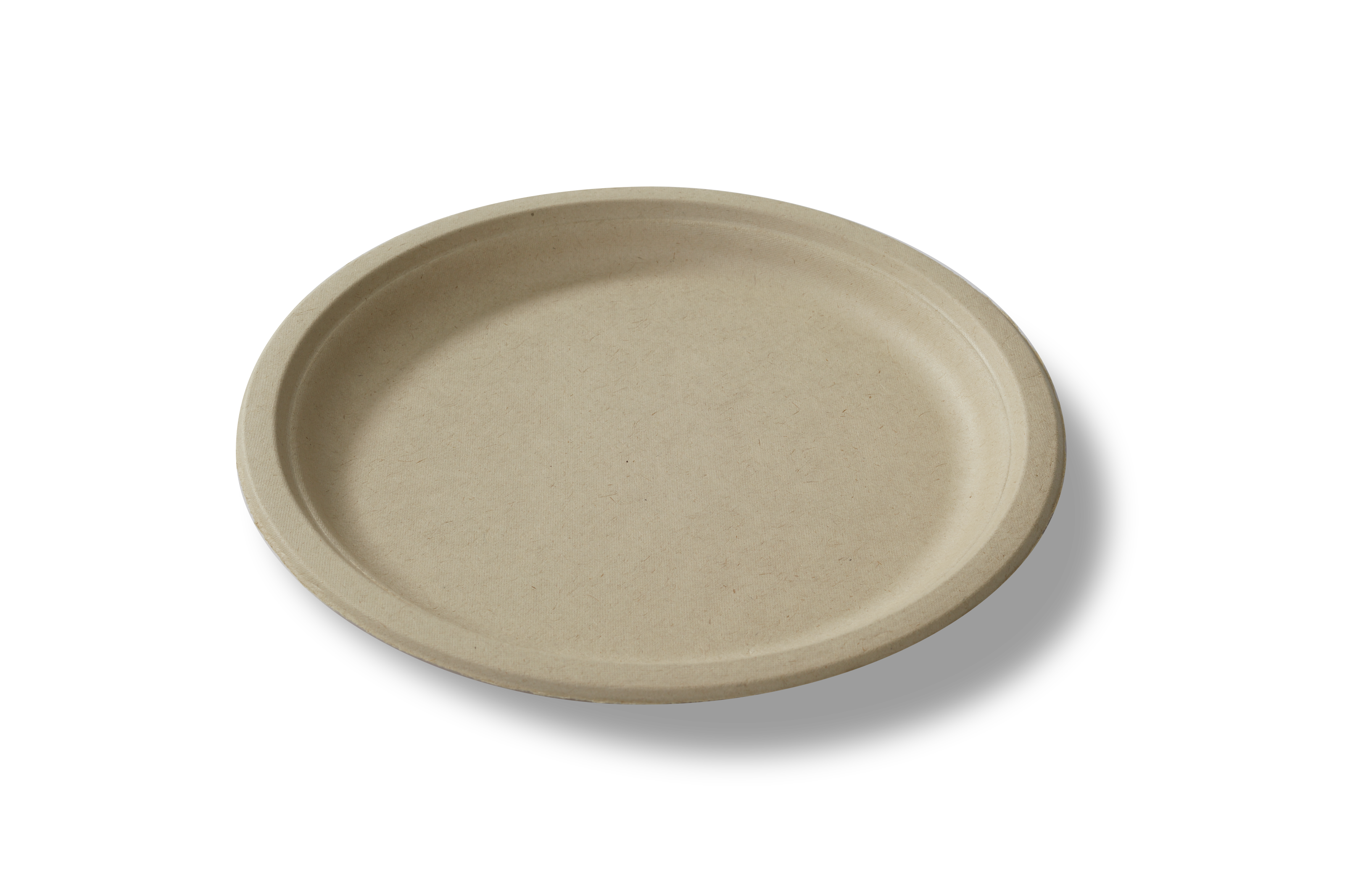 Heavy Duty Compostable Plates  10 Inch Disposable Plates Made From Ec