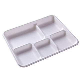 Compostable School Lunch Trays