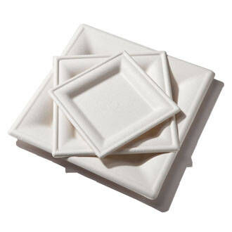 Heavy Duty Compostable Plates  10 Inch Disposable Plates Made From Ec