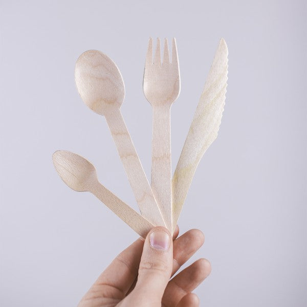 Completely Biodegradable Ice Cream Scoope Eco Disposable Forks Espresso  Soup Spoon - China Cutlery and Sugarcane Cutlery price