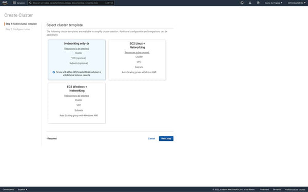 Segunda ventana de configuración para crear el cluster desde una plantilla.