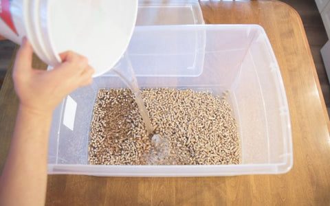 A person drains water from a bucket into a container full of hardwood fuel pellets.