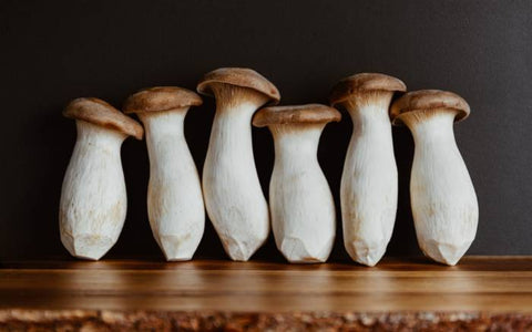 A row of king oyster mushrooms.