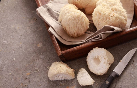 Several bunches of lion's mane mushrooms on a kitchen counter.
