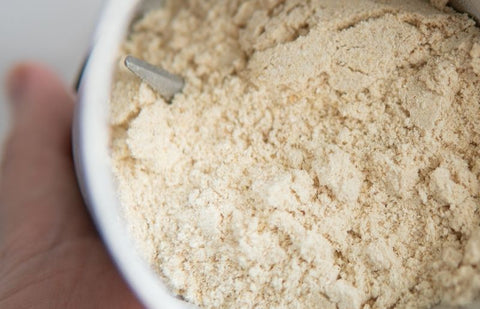 Lion's mane powder in a bowl.